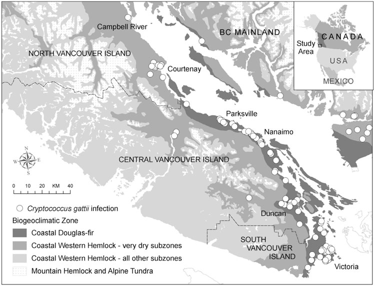 Figure 3. Distribution géographique des cas d’infection cryptococcique humaine, 19992004. Tous les cas de l’île de Vancouver habitaient sur la côte est de l’île dans la zone biogéoclimatique côtière du Douglas taxifolié. Tous les cas signalés sur le continent avaient voyagé dans la zone côtière du Douglas taxifolié sur l’île de Vancouver avant que la maladie ne se déclare. La zone côtière du Douglas taxifolié se caractérise par des étés plus secs et plus chauds que dans d’autres régions de la côte de la C.B.