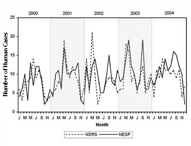 Figure 13: Reported rates of S. Typhi by month, 2000 to 2004, NDRS and NESP