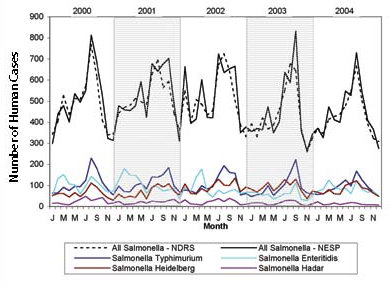 Figure 5: Reported cases of non-typhoid Salmonella by month, 2000 to 2004, NDRS and NESP