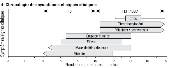d- Chronologie des sympt&ocirc;mes et signes cliniques