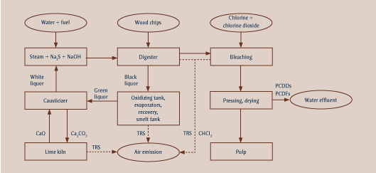 Simplified diagram of the kraft pulping process