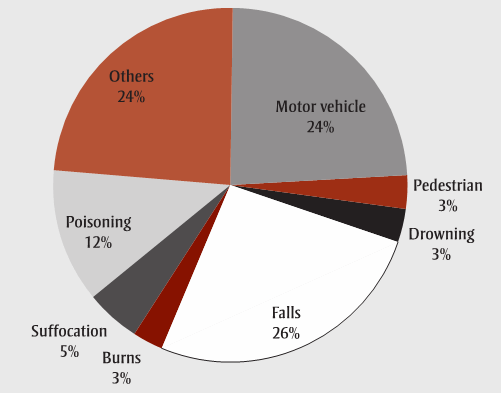 Figure 1 Proportion of unintentional injury deaths by cause in Canada excluding Quebec, 2001–2007