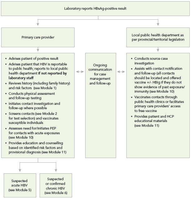 Laboratory reports HBsAg-positive result