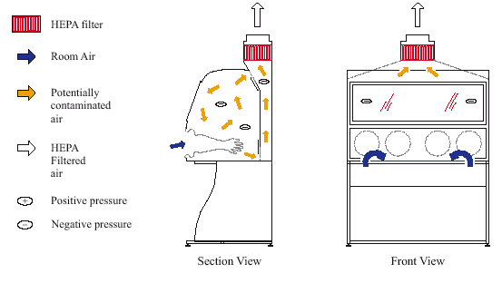 Fig. 1a.  Class I Biological Safety Cabinet