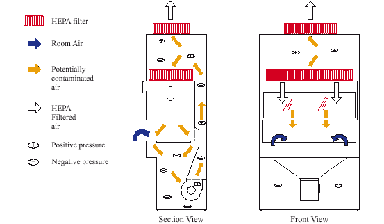 Fig. 2. Class II Type A1 Biological Safety Cabinet