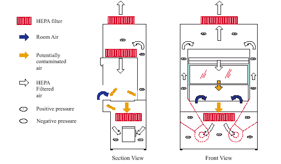 Fig. 4. Class II Type B1 Biological Safety Cabinet