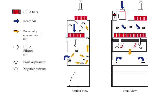 Fig. 5.  Class II Type B2 Biological Safety Cabinet
