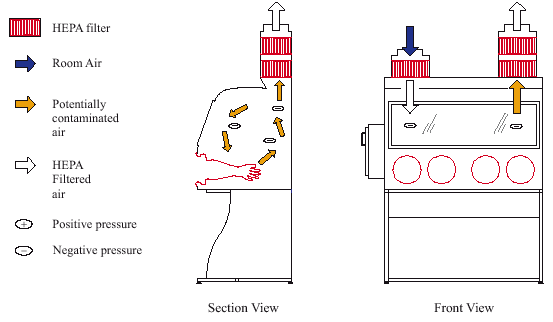 Fig. 6.  Class III Biological Safety Cabinet