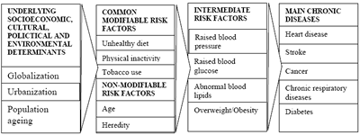 Figure 1.2 Causes of Chronic Diseases