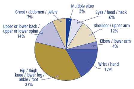 Figure 3: Self-reported falls resulting in injury, by type of injury, age 65+, Canada, 2002/03