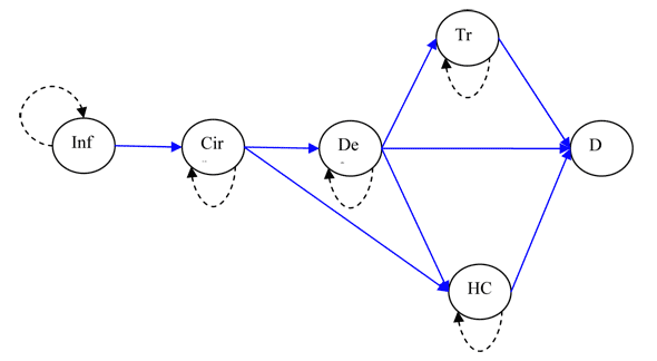 Markov Model of Transition Through Stages of HCV Infection